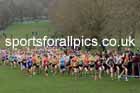 Boys Under-15s, 2024 CAU Inter Counties Cross Country Champs., Wollaton Park, Nottingham. Photo: David T. Hewitson/Sports for All Pics